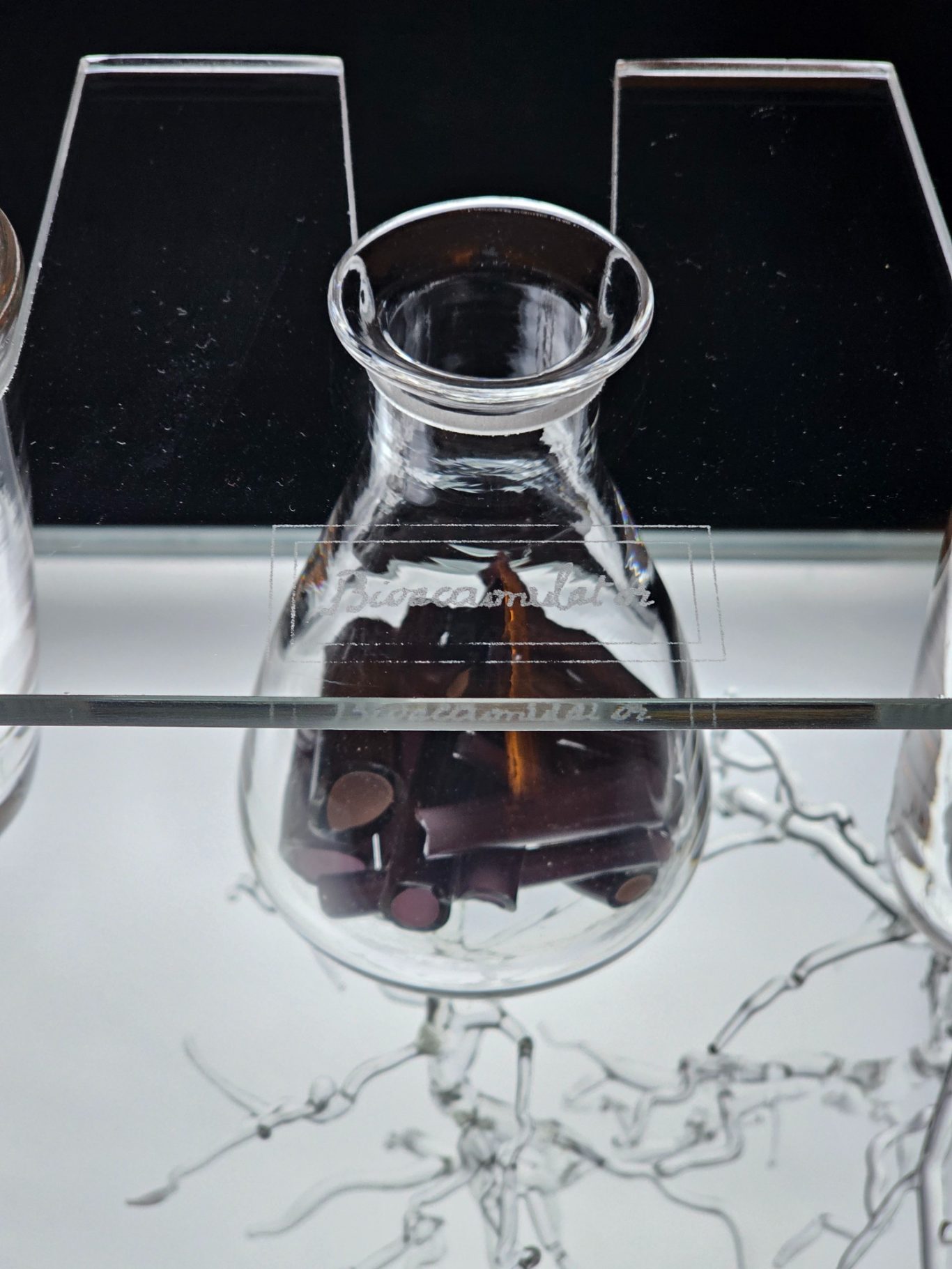 The Alchemy of Fungi