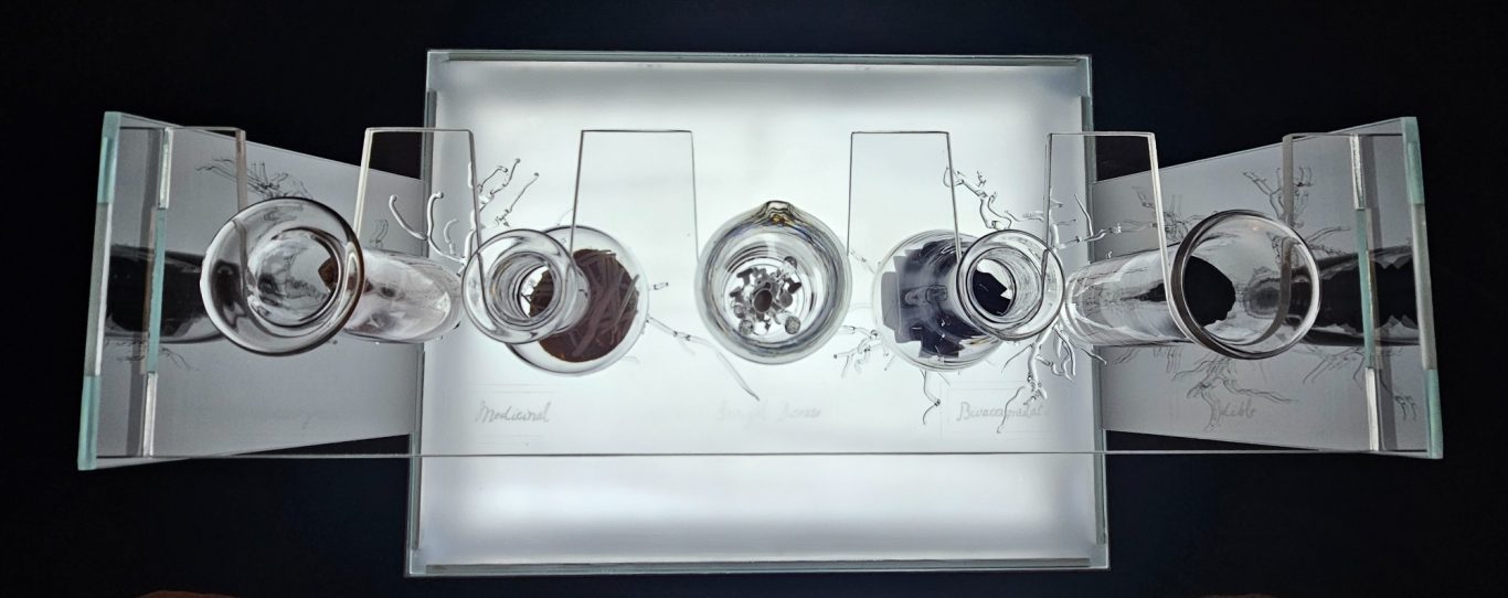 The Alchemy of Fungi Clear glass test tube rack with 5 glass test tubes with glass fungi and glass mycelium