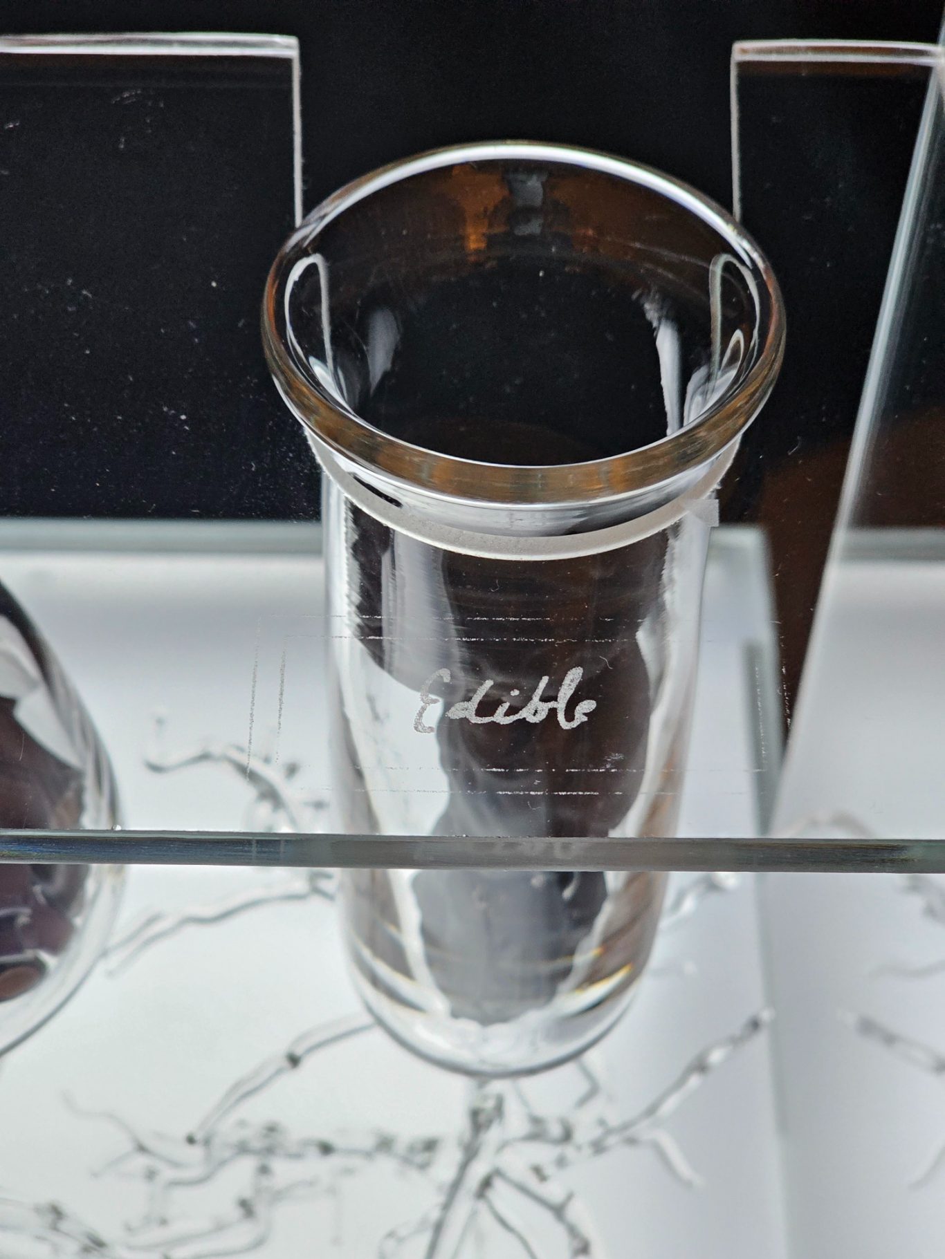 The Alchemy of Fungi