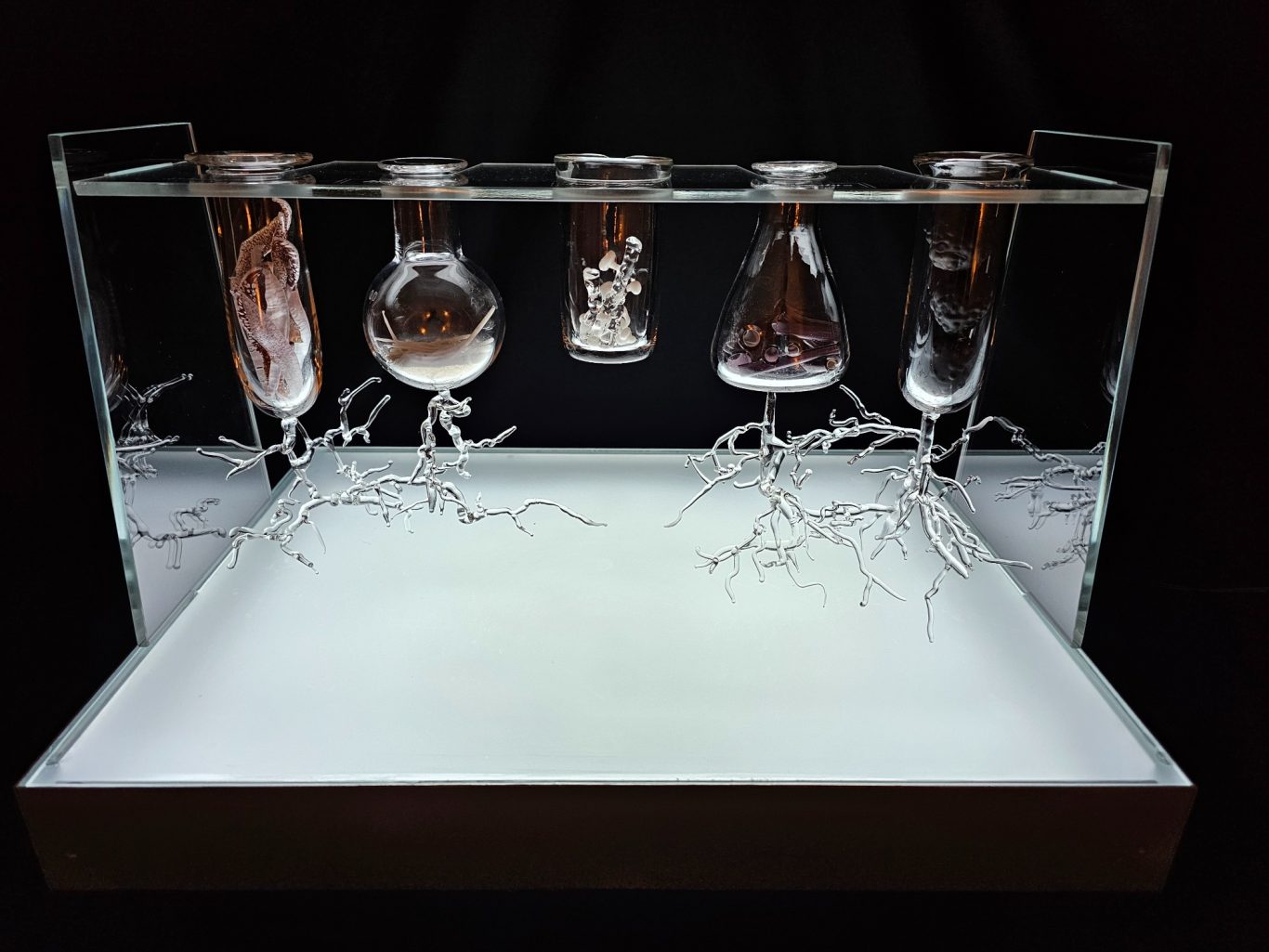 The Alchemy of Fungi Clear glass test tube rack with 5 glass test tubes with glass fungi and glass mycelium