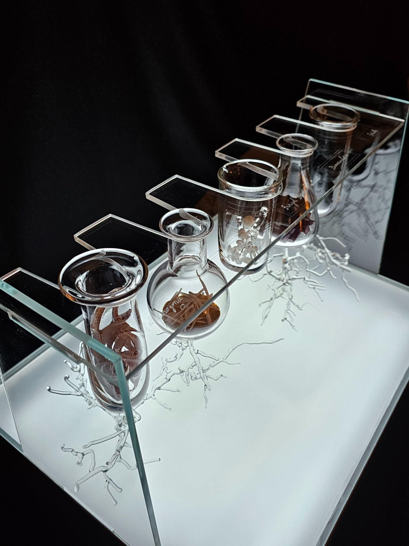 The Alchemy of Fungi Clear glass test tube rack with 5 glass test tubes with glass fungi and glass mycelium