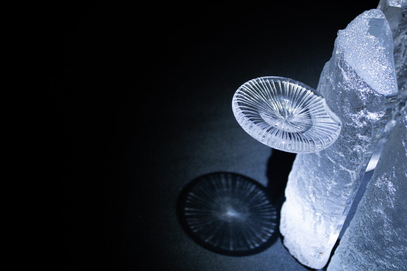 Enchanted Hollow Sand casted clear glass textured tree truck with handblown, engraved bracket fungi.