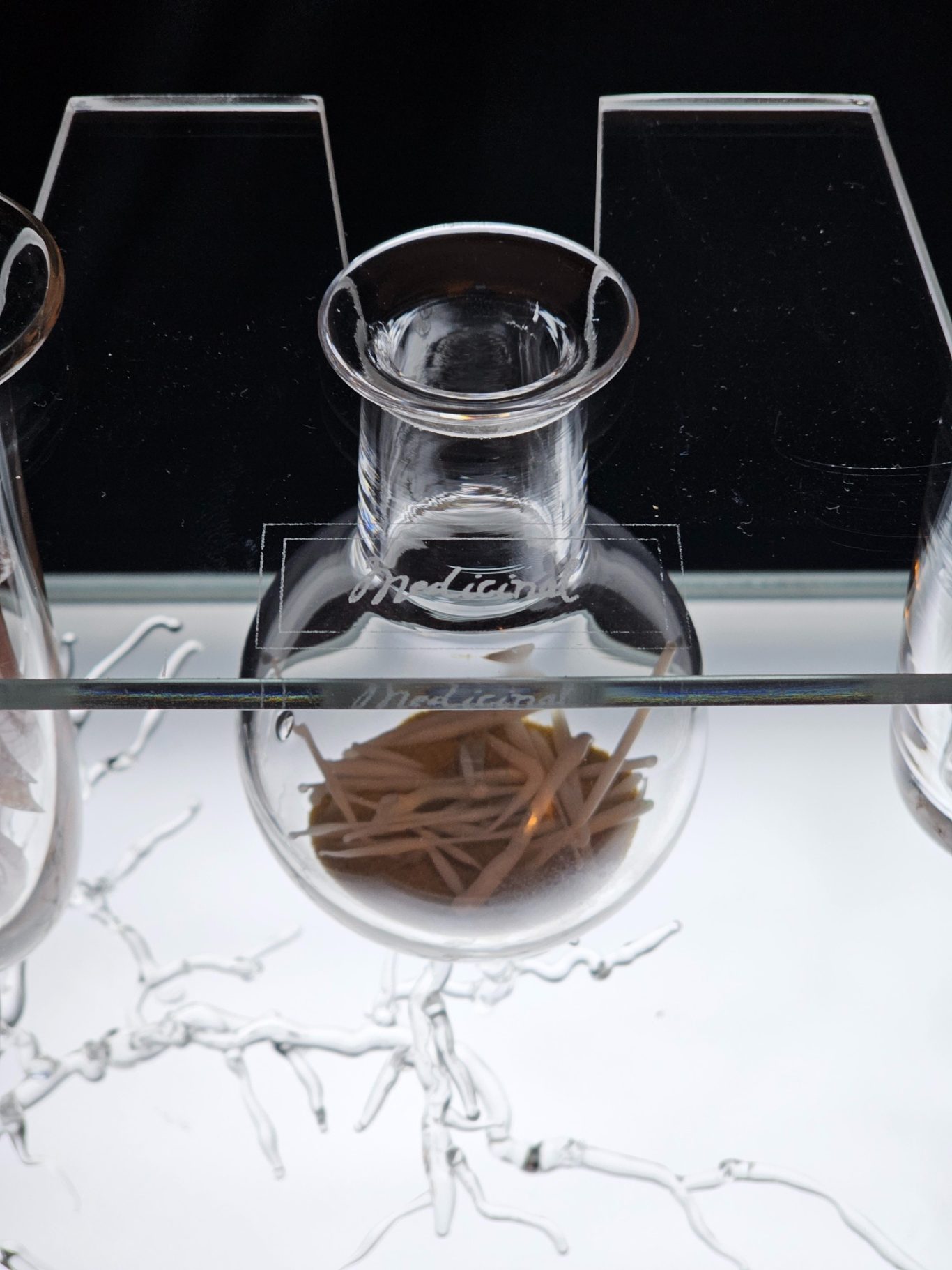 The Alchemy of Fungi